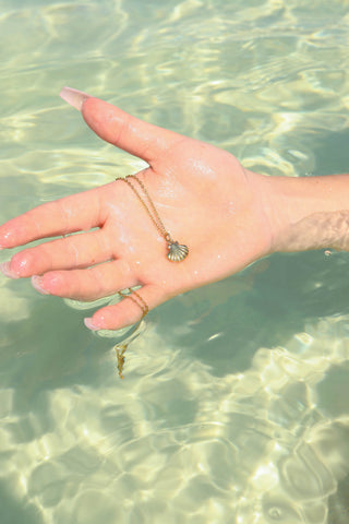 Clam Shell Necklace