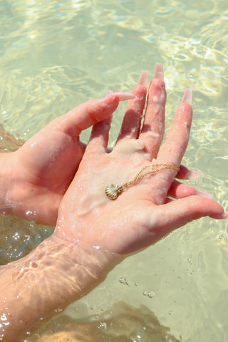 Clam Shell Necklace