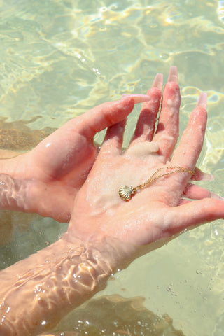 Clam Shell Necklace