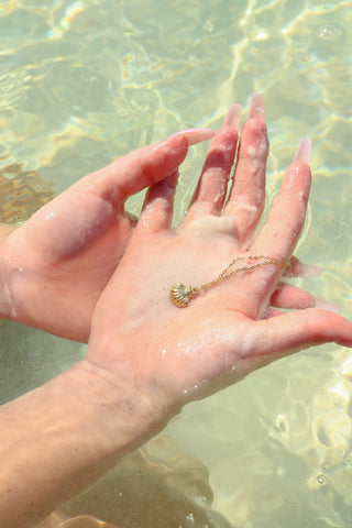 Clam Shell Necklace