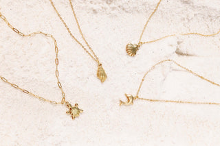 Clam Shell Necklace