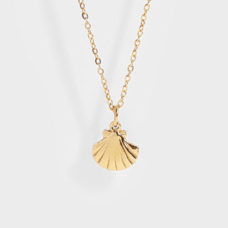 Clam Shell Necklace