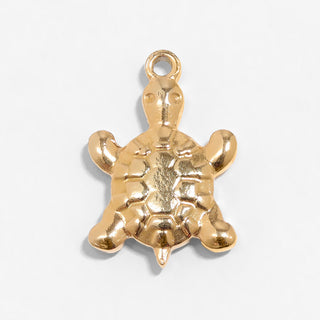 Sea Turtle Charm