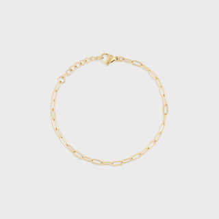 14K Gold Filled PLUS™ Paperclip Chain Bracelet - Main
