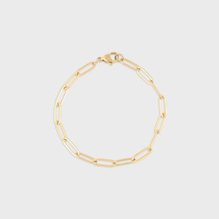 14K Gold Filled PLUS™ 4mm Paperclip Chain Bracelet- Main