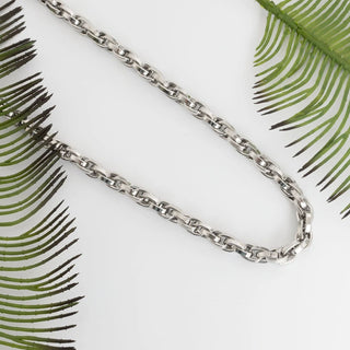 Silver chain necklace on a white background with green leaves