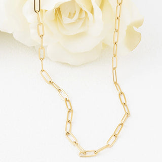 14K Gold Filled PLUS™ 2.5mm Paperclip Chain Necklace- Studio