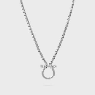 Silver necklace with a horse shoe clasp on a light gray background