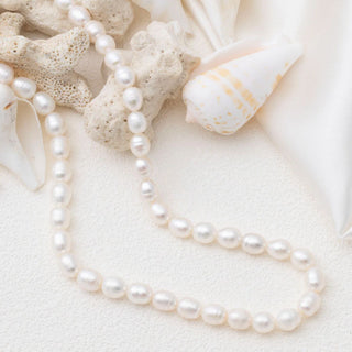 Pearl necklace with seashells and coral on a white background