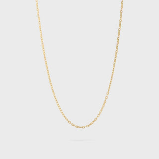 14K Gold Filled PLUS™ Crimped Oval Link Chain Necklace- Main