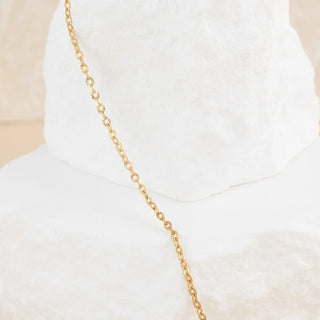 14K Gold Filled PLUS™ Crimped Oval Link Chain Necklace