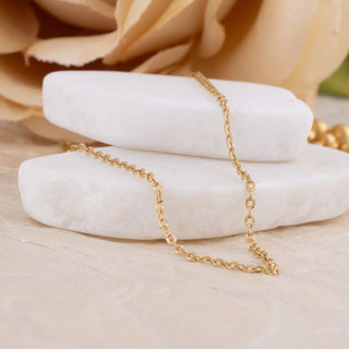 14K Gold Filled PLUS™ Crimped Oval Link Chain Necklace