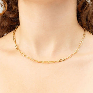 14K Gold Filled PLUS™ Paperclip Chain Necklace- Model