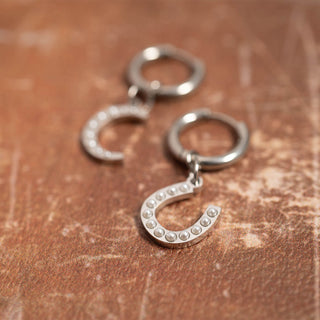 Silver horseshoe keychain with small stones on a brown surface
