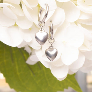 Silver heart-shaped earrings on a white flower background