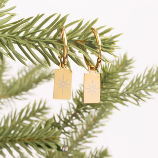 Gold earrings with star designs on a green branch background