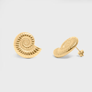 Nautilus Stud Earrings