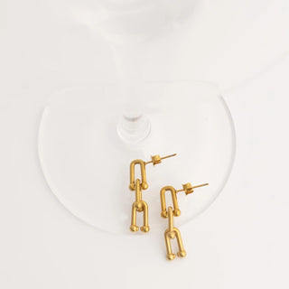 Gold chain-style earrings on a white background