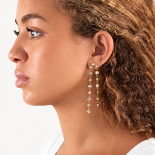 Double Stone Dangle Earrings- Model