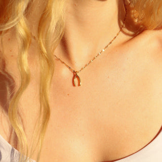 Silver Wishbone Charm on chain