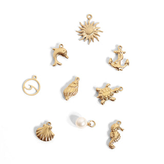 Dolphin Charm