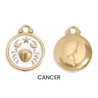Epoxy Zodiac Charm
