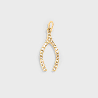 Stainless Steel Rhinestone Wishbone Charm / PDL0272