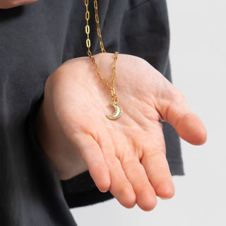 18K Gold PVD Stainless Steel Mother Of Pearl Moon with Stone boarder Charm on Paperclip Necklace