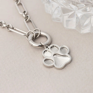 Silver paw print charm on a chain against a light background