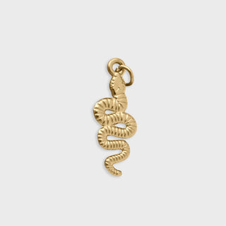 Snake Charmer- gold main- behind the charm 
