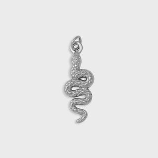 Snake Charmer- silver main 