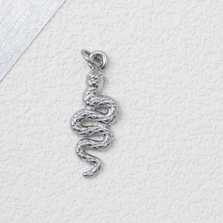 Snake Charmer- silver studio 