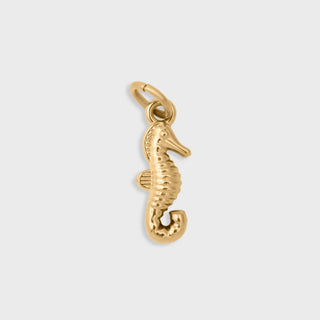 CZ Seahorse Charm- gold main- behind the charm 