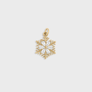 Snowflake Charm - Main
