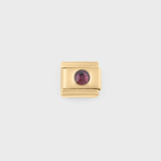 Gold Birthstone Italian Charm- feb main
