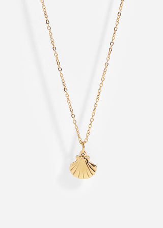 Clam Shell Charm Necklace