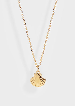 Clam Shell Necklace