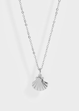 Clam Shell Necklace