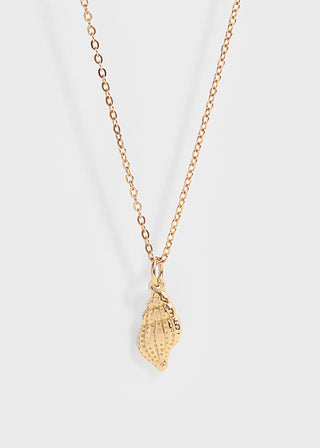 Conch Seashell Necklace