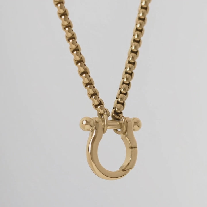 Horse Shoe Carabiner Charm Holder Necklace- video