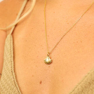 Woman's Clam Shell Charm Necklace